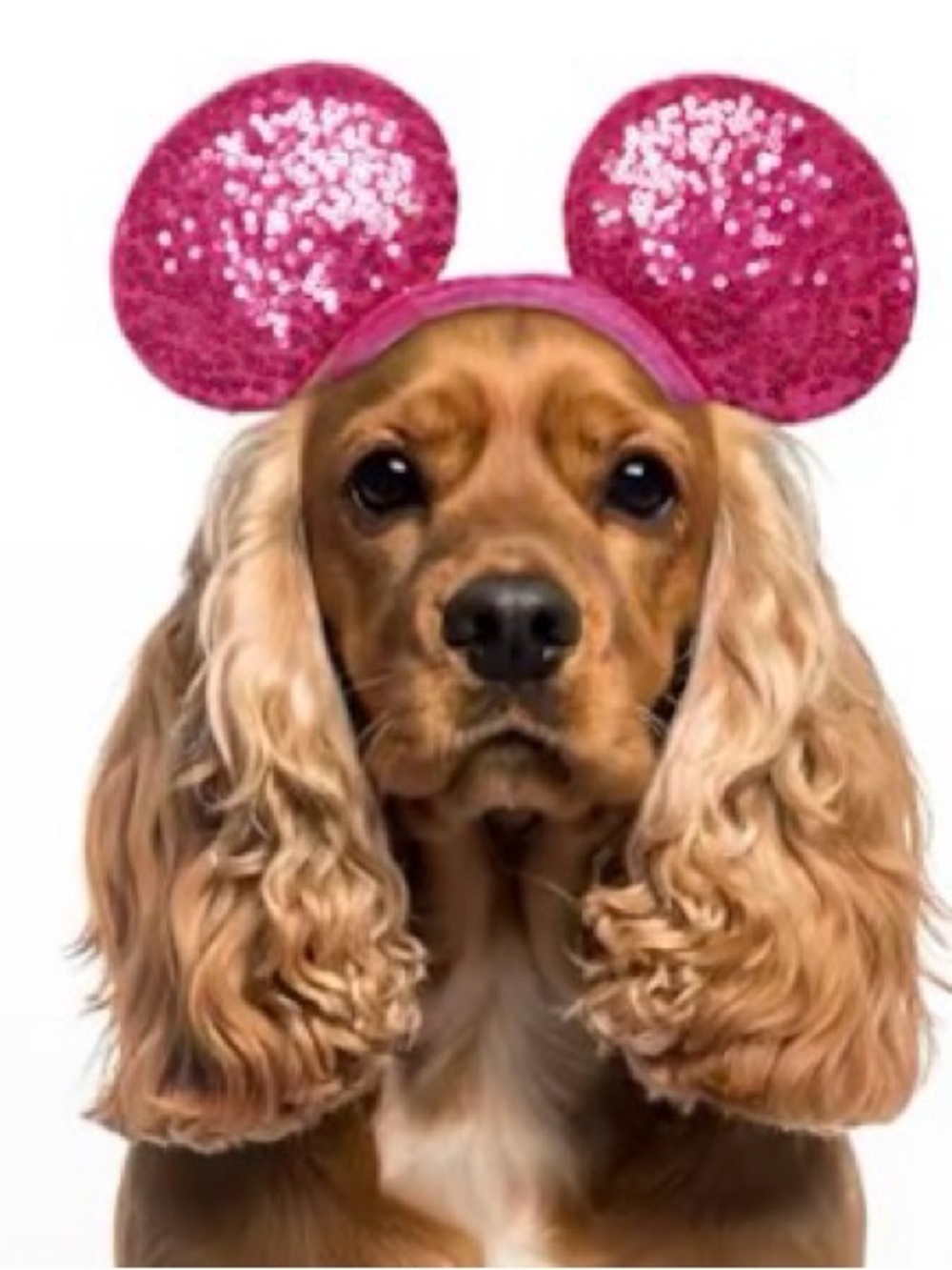 Disney Minnie Mouse Rubbies Pink Sequin Dog Ear Headband - Pet Costume Accessory